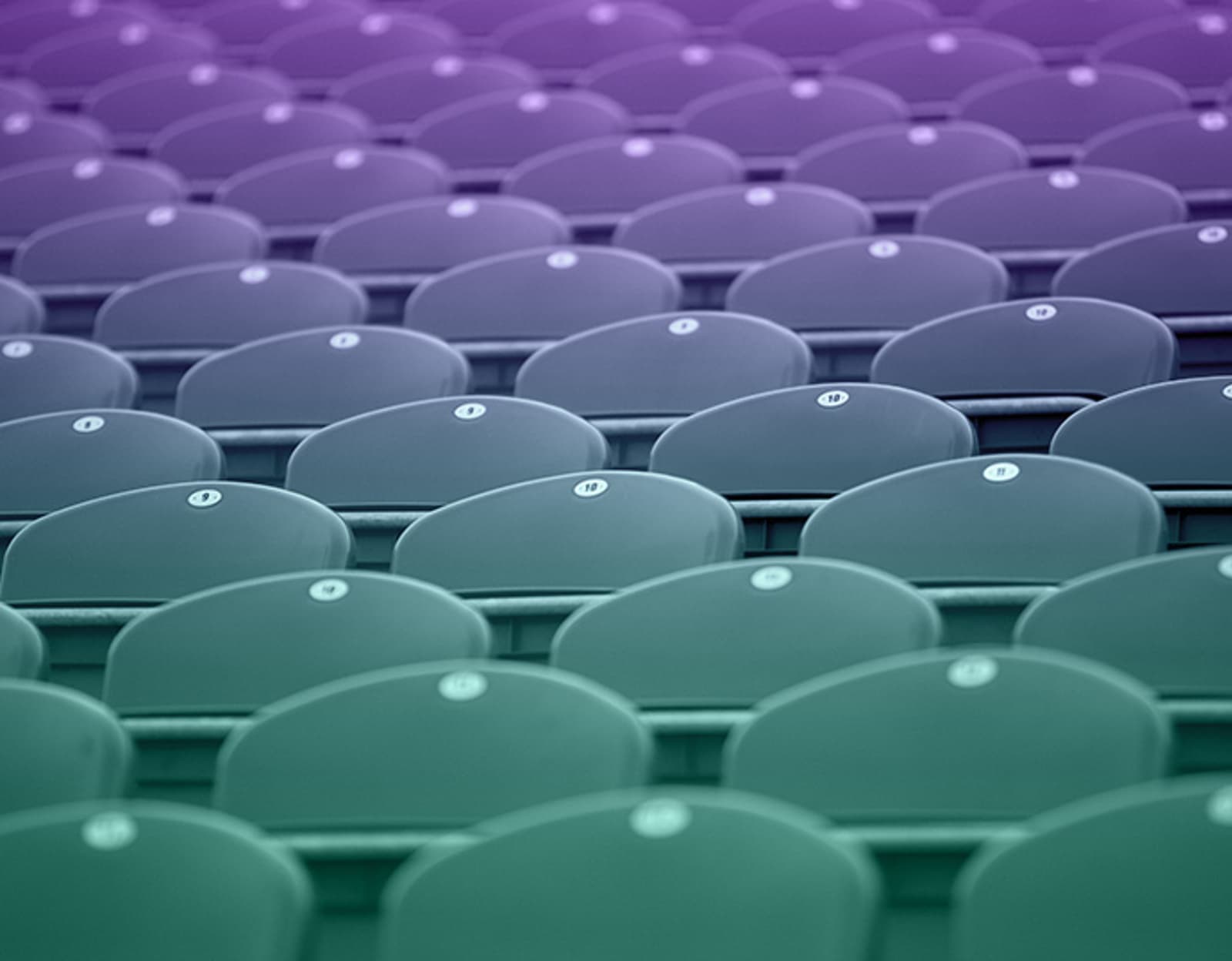 The Business of Sports Marketing